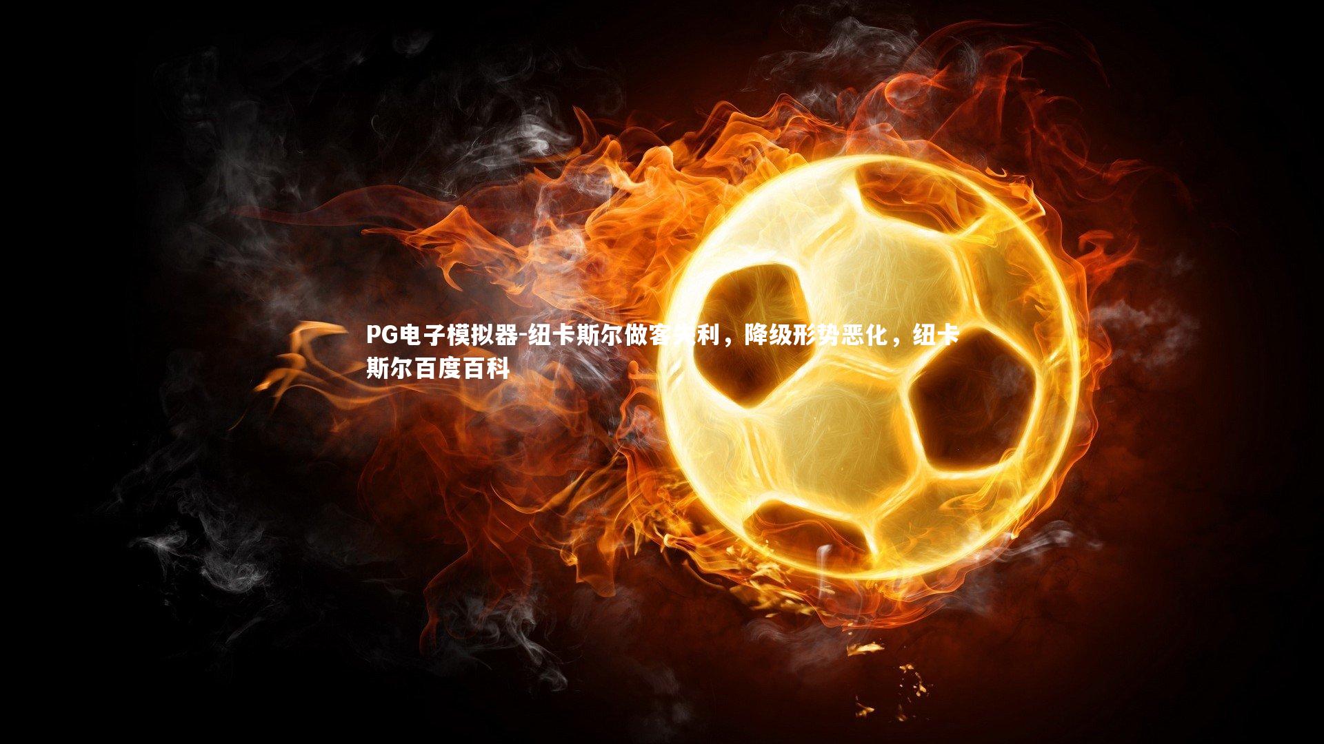 PG电子模拟器-纽卡斯尔做客失利，降级形势恶化，纽卡斯尔百度百科