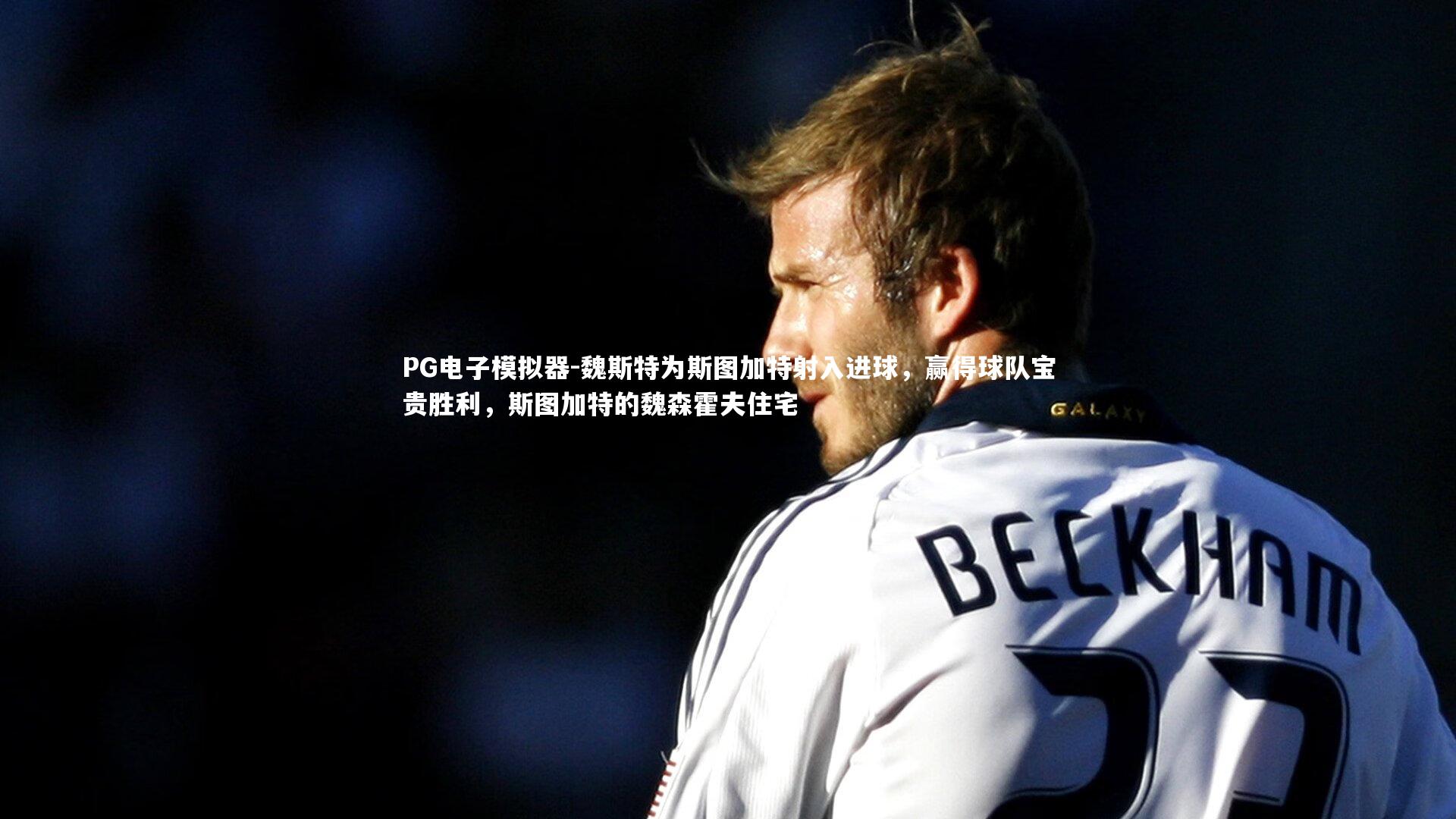 PG电子模拟器-魏斯特为斯图加特射入进球，赢得球队宝贵胜利，斯图加特的魏森霍夫住宅