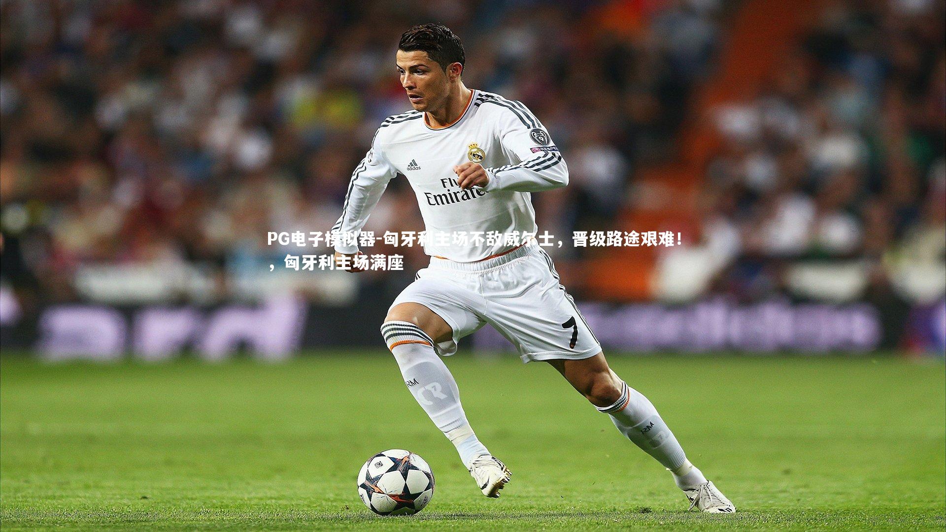 PG电子模拟器-匈牙利主场不敌威尔士，晋级路途艰难！，匈牙利主场满座