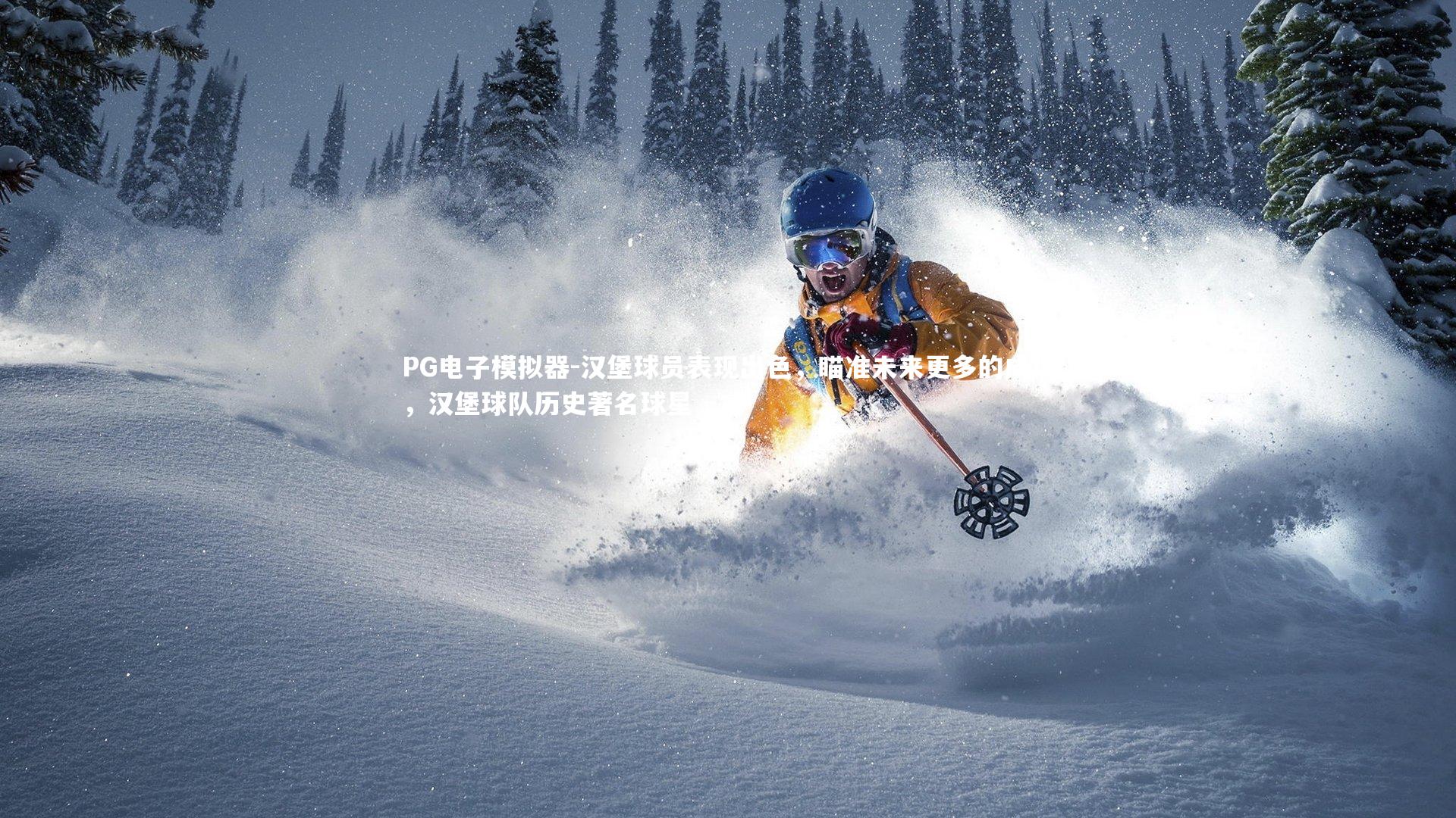 PG电子模拟器-汉堡球员表现出色，瞄准未来更多的成功，汉堡球队历史著名球星