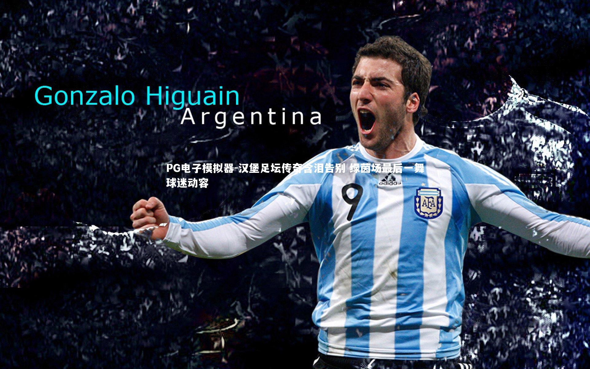 汉堡足坛传奇含泪告别 绿茵场最后一舞球迷动容